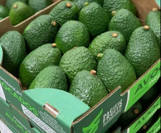 Hass Avocado Image