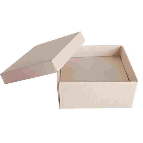 Sugarcane bagasse packaging Image