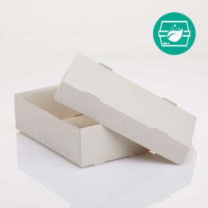 Sugarcane bagasse packaging Image