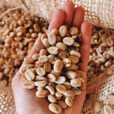 Balance - Roast coffee Image