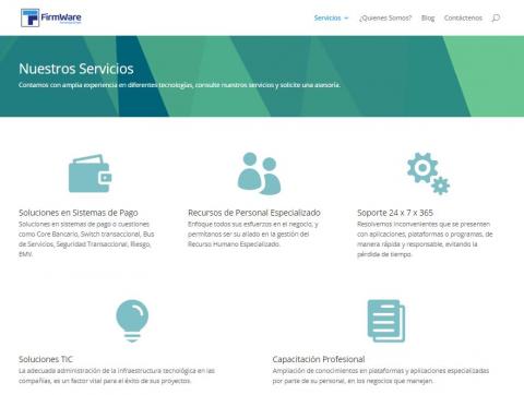 Specialized services in information technology and payments Image