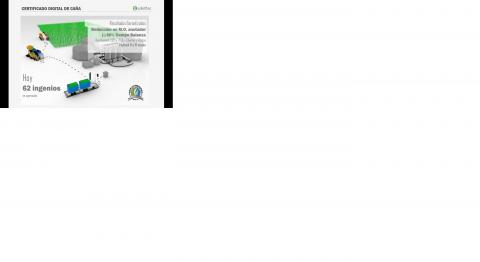 Cane Digital Certificate Image