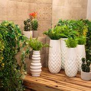 vases, centerpieces, photoframes, candleholders, huracane lamps, decorative fruits, decorative balls. Image