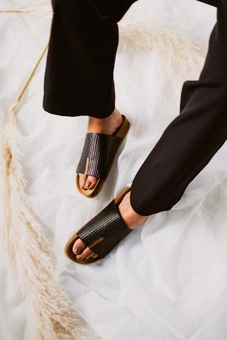 CLAVEL Image