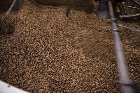 ROASTED COFFEE Image
