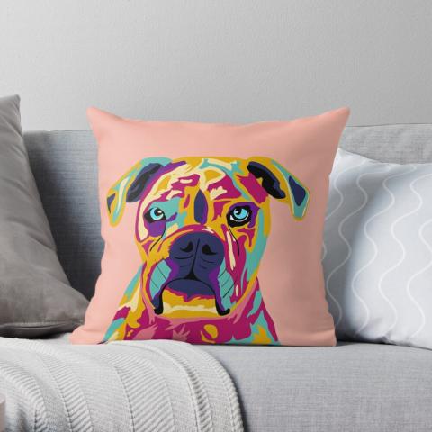Decorative Cushions Image