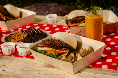 CONTAINERS without lid 500 grs Image