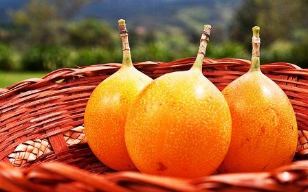 Granadilla Image