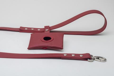 NUDE LEASHES Image