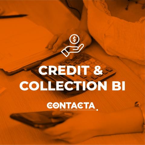 Credit and Collection Business Intelligence Image