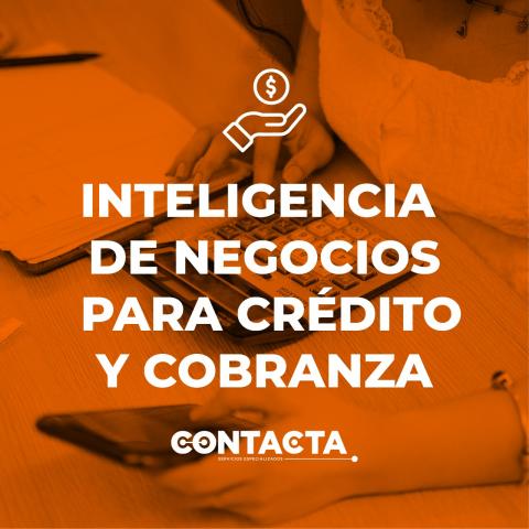 Credit and Collection Business Intelligence Image