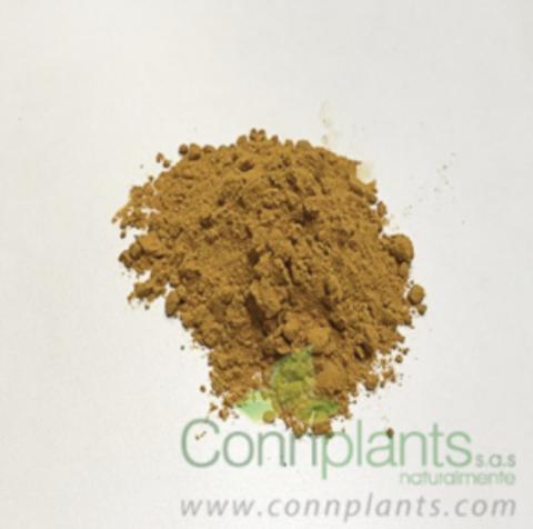 Turmeric Image