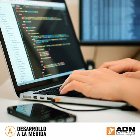 Development of custom software Image