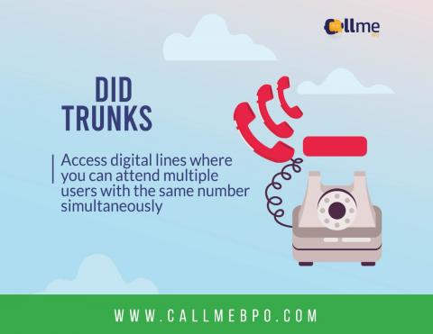 DID TRUNKS SERVICE (DIAL DIRECT IN) Image