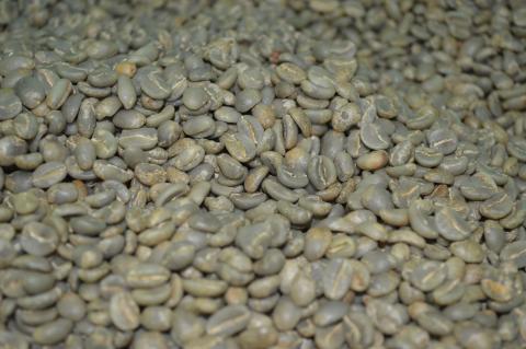 Microlote Alejandro Ortiz Image