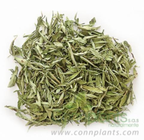 Stevia Image