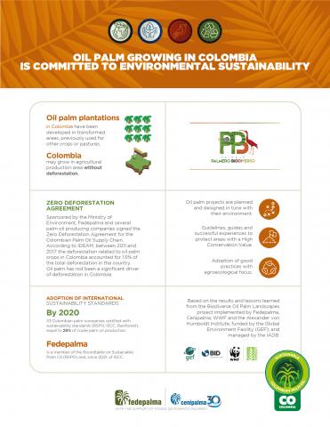 SUSTAINABLE COLOMBIAN PALM OIL Image