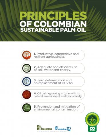 SUSTAINABLE COLOMBIAN PALM OIL Image
