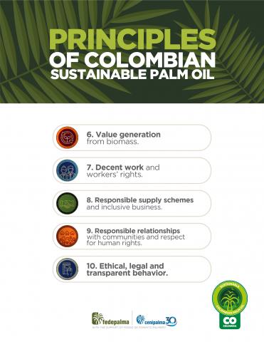 SUSTAINABLE COLOMBIAN PALM OIL Image