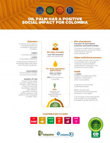 SUSTAINABLE COLOMBIAN PALM OIL Image