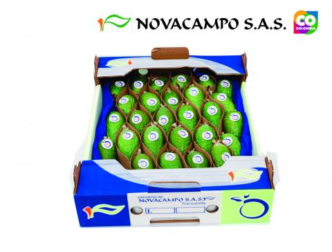 Feijoa Image