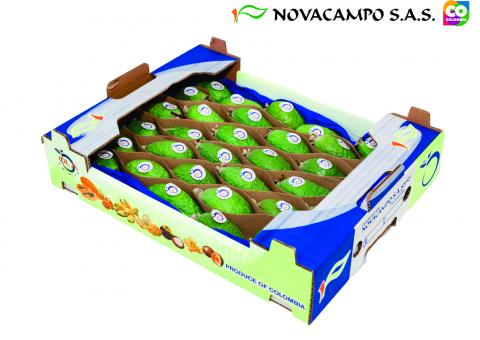 Feijoa Image