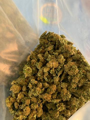 NON PSYCHOACTIVE CANNABIS DRIED FLOWER Image