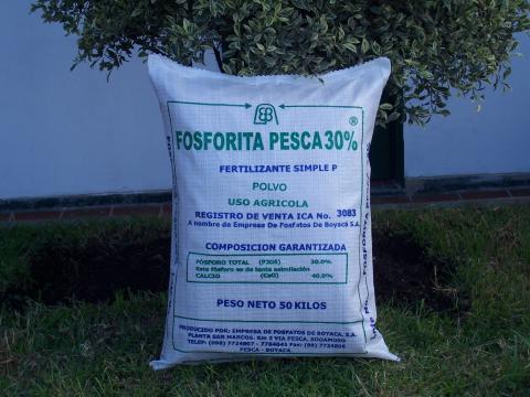 Fosforita Image
