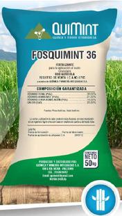 FOSQUIMINT 36 Image