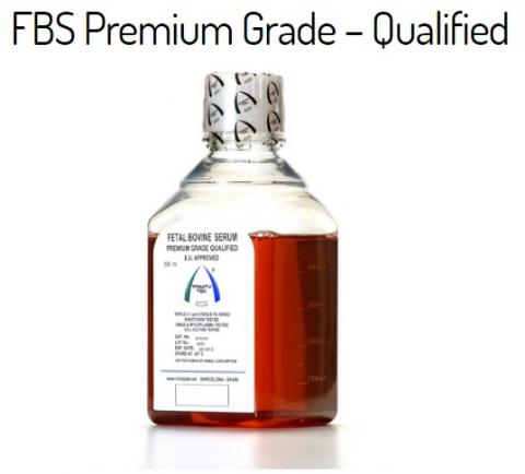 Fetal Bovine Serum - Sterile Image