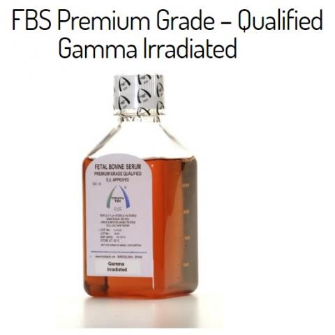 Fetal Bovine Serum - Sterile Image