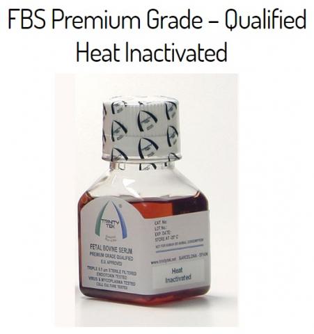 Fetal Bovine Serum - Sterile Image