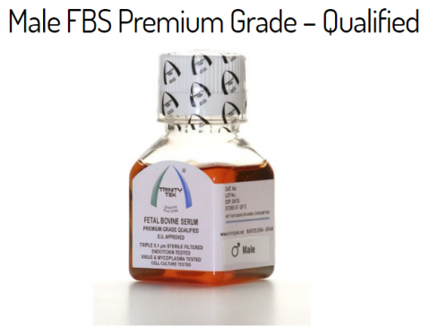 Fetal Bovine Serum - Sterile Image