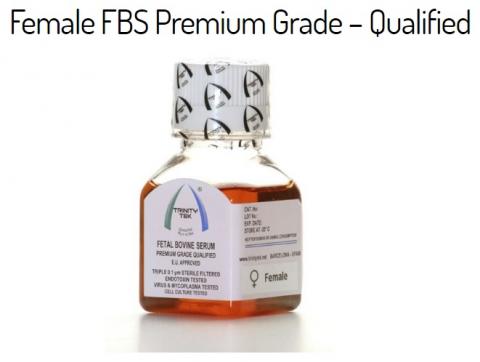 Fetal Bovine Serum - Sterile Image
