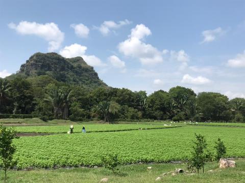 foto-finca-albahaca.jpg