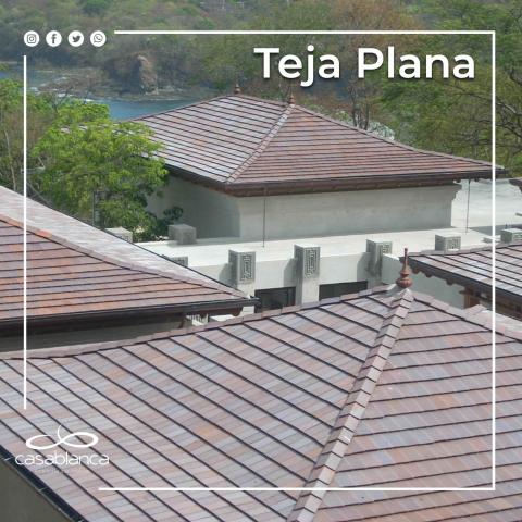 Ceramic roof tiles Image