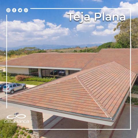 Ceramic roof tiles Image