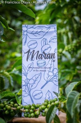 Toasted coffee Image