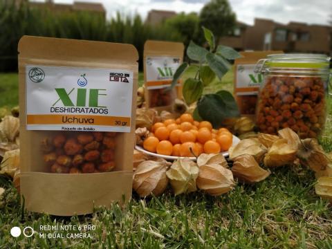 dried gooseberry Image