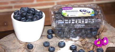 Blueberries