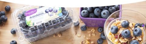 Blueberries