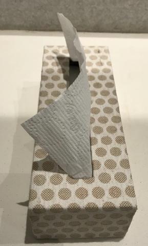 Tissue box cover or paper towels Image