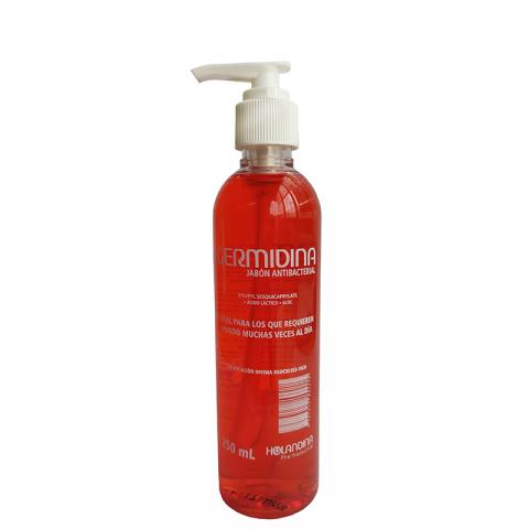 HAND HYGIENE-GERMIDINA JABON ANTIBACTERIAL Image