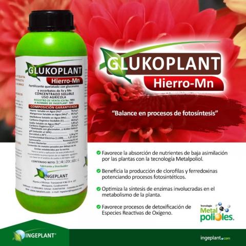Glukoplant FeMn Image