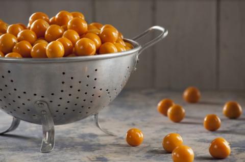 Physalis or Golden Berry Image
