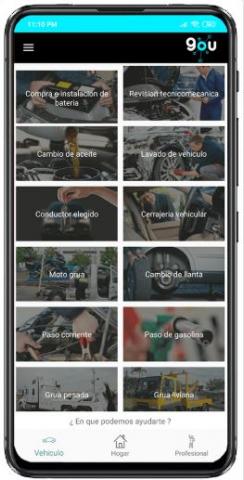 gou-aplicacion-de-servicios-profesionales-imagen-2_0.jpg