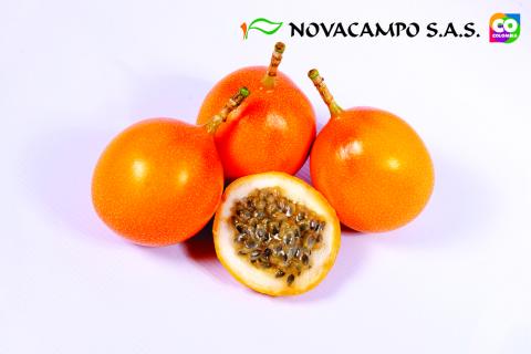 Passion Fruit Image