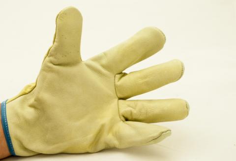 REINFORCED CALF LEATHER GLOVES Image