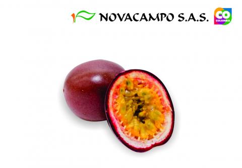 Passion Fruit Image