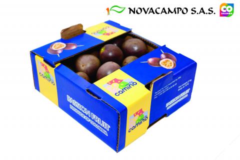 Passion Fruit Image